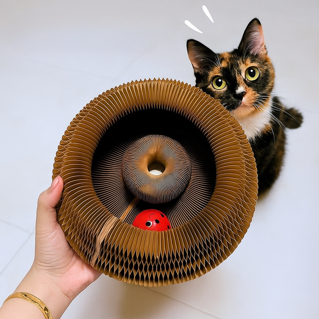 Kurly Kat