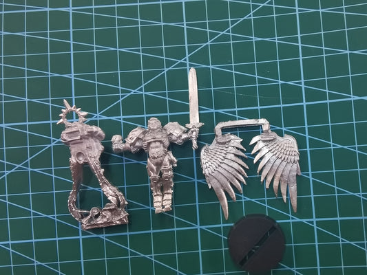 The Sanguinor, Exemplar of the Host